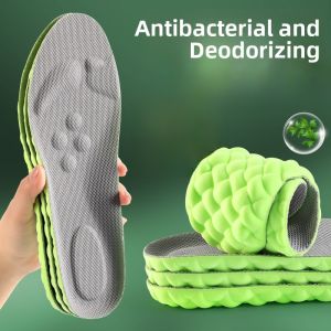 XIANZHAO | 军训专用艾草除臭鞋垫男女款吸汗透气抗菌防滑留香夏季汗脚护理