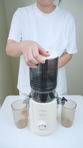 Máy Ép chậm Haatz HSJ368 công suất mãnh mẽ 300w ép khỏe cả các nguyên liệu cứng hiệu suất 98%