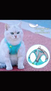 Fly-soft สายรัดอกแมวและสุนัข ฟรีสายจูง เสื้อรัดอกแมว ระบายความร้อน Dog Cat Shirt Harness