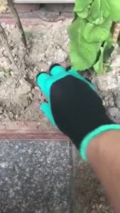 8 Cái Dụng Cụ Làm Vườn Bằng Nhựa ABS Chống Thấm Nước Dụng Cụ Đào Vườn Găng Tay Làm Việc Bền Bỉ Để Nhân Giống Cây Trồng Sử Dụng Ngoài Trời