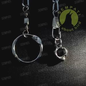 SEMPATI RANTAI BURUNG FALK RING BORGOL IMPORT 6 MM RANTAI FF UMBARAN FREE FLYING RANTAI GELANG KAKI RING BURUNG PARKIT AUSTRALIA COCKATIEL CUCAK RAWA CUCAK HIJAU DERKUKU TEKUKUR RED GREEN CONURE