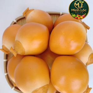 Trái Dừa Xanh/ Nâu size Đại | Trái Cây Nhựa foam Trái Cây trang trí Trái Cây Mô Hình