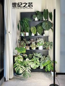 โคมไฟตั้งพื้นแบบสเปกตรัมเต็มความยาวสำหรับการเพิ่มแสงสำหรับพืช โคมไฟ LED ภายในรูปแบบโซ่แสงอาทิตย์ แหล่งกำเนิดแสง LED ตัวควบคุมแสงไฟเดียว