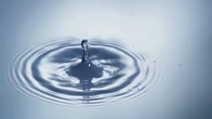 10-Inch Transparent Filter Bottle  4-Point Copper Thread