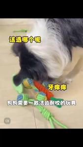 Dog Toy Ball Cotton Rope Mini Durable Interactive Chew Toothbrush Teething Puppy For Small Medium Large Dogs Pet Supplies
