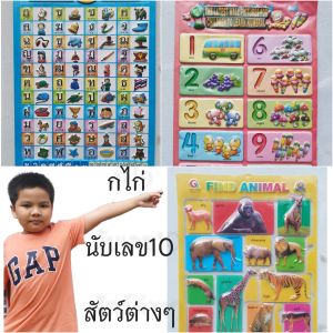 โปสเตอร์กไก่ / แผ่นหัดอ่านก.ไก่ สระ /เป็นพลาสติกตัวนูน ไม่มีเสียง ชุดรู้ใจจัดให้ 4 แผ่น
