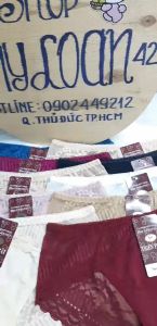 Bộ 5 quần lót nữ thun phối ren lưới mềm mại mã 03172 -My Loan 42
