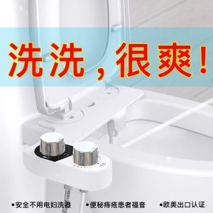 Smart Electric-Free Toilet Seat & Bidet: A Comprehensive Guide