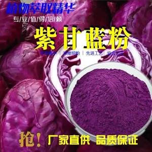 Bột Cải Tím Chiết Xuất Anthocyanins 98%