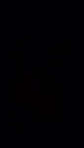 Dress Lurus Anak Perempuan Motif Burung Merak Free Tas Cantik Ready Usia Anak 3 Bulan-8 Tahun