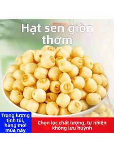 Hạt Sen Sấy Giòn Đã Bóc Lõi Sẵn Ăn