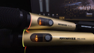 RAYHAYES RGB Wireless Microphone UHF Handheld Rechargeable Microphone for Karaoke