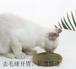 50ML Catnip Catmint Powder for Pet Cats Cat Treat