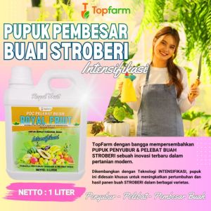 Pupuk Stroberi Berbuah Lebat / Pupuk Stroberi Biar Berbuah / Pupuk Pelebat Buah Stroberi / Pupuk Pembesar Buah Stroberi / Pupuk Pelebat Buah