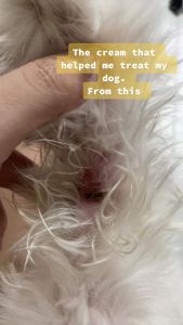(New Packaging) 10g Vetnoderm Wound Cream Antifungal and Antibacterial For Dog Cat Pet Essentials