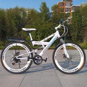 Dual Shock Dual Disc Brakes Variable Speed Mountain Bike