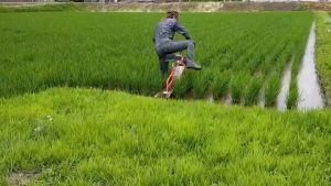 เครื่องชักร่องน้ำในนาข้าว แบบนั่งขับ รถขับในนาข้าว รถขับในนา รถขับในนาข้าว ราคา - Lazada