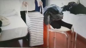 75L Laundry Basket: A Versatile Storage Solution