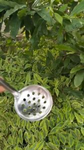 Vá lỗ múc canh muỗng múc lẩu muôi múc trân châu thạch bằng INOX tiện dụng 26cm VL07D anphacook