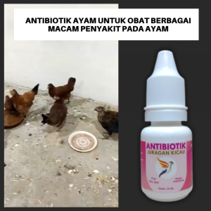 Antibiotik Ayam Untuk Obat Berbagai Macam Penyakit Pada Ayam