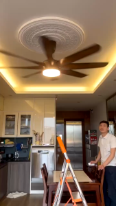 Quạt trần đèn GOGEOUS 8 cánh đường kính 60inch có điều khiển từ xa động cơ siêu khỏe chạy cực êm