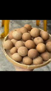 [Size Hạng A] Nhãn Sấy Nguyên Vỏ Hàng Chọn Lọc Hộp 500g Làm Quà Biếu Tặng -  Không Chất Bảo Quản