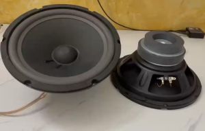 Loa rời bass 25 GÂN MÚT từ kép 126 - 100 coil 38 -  giá 1 loa - Loa bass -Loa bass rời