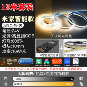 Smart COB LED Strip Light Controller Driver Dimmable Color Changing 24V Home Intelligence App Control Voice Control RG1