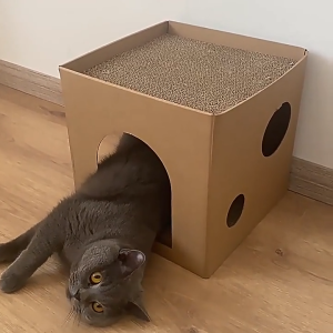 DIY แมว Scratch กล่อง ประสิทธิภาพด้านต้นทุนสูง ที่นอนสัตว์เลี้ยง แบบกล่อง บ้านสำหรับสัตว์เลี้ยง ที่นอนแมว ที่นอนสัตว์เลี้ยง ที่ลับเล็บแมว