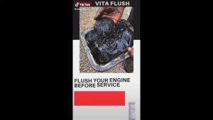 MADE IN Ukraine Xado Vitaflush Oil System Cleaner  (20ml) Flasing