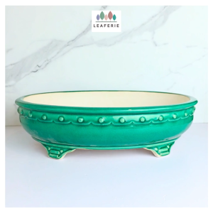 The Leaferie Bonsai (Series 86) Oval plant pots. flowerpot . flowerpots . flower pot . planter