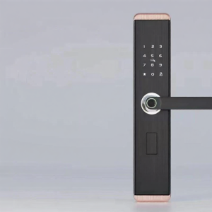 Semi-automatic Fingerprint Smart Lock
