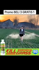 Herbisida Biologis Kill Grass 250ml Promo Beli 3 Botol Gratis 1