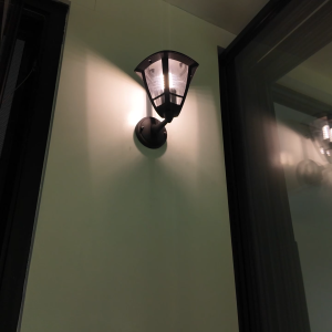 BFM High-end Classic Black LED Wall Lights Outdoor IP54 Waterproof Indoor Modern Design Wall Lamps Detachable Light Bulb