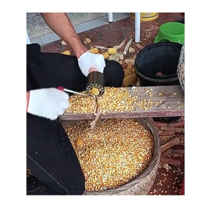 Dụng cụ tách hạt ngô khô chuyên dụng- Tách hạt bắp siêu nhanh chất liệu thép