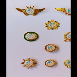 Pin Bros Lencana Kuningan Emas Kementerian BKKBN (Peniti atau Magnet)