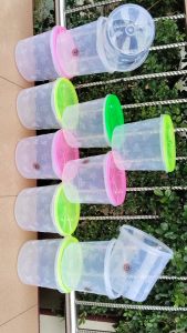 12 Pcs Toples Plastik 3 liter Motif Kupu-kupu