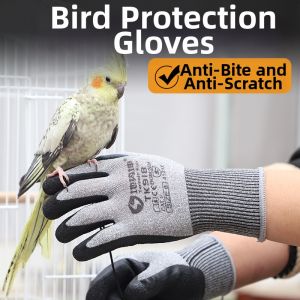 Terrain Kun | Bite-Proof Smell-Preventive Breathable Training Gloves For Parrots