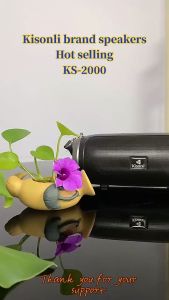 KISONLI Speaker Bluetooth Portable KS2000 TWS With Portable Shoulder Strap