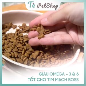 Hạt Kucinta dĩnh dưỡng hoàn chỉnh cho mèo 1kg