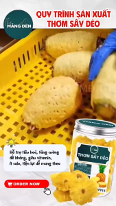 Thơm Sấy Dẻo Nguyên Chất Ít Đường Không Chất Bảo Quản Dẻo Ngon Đặc Sản TheMĐ