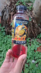 Maxx Pleci botol Plastik Vitamin burung juara Vitamin Penggacor Suplemen burung Pleci