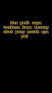 Insektisida Ares 100SL Kemasan 300ml - Ares Pengendali Hama Tanaman