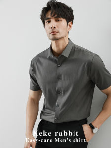 Advanced Mens Slim Fit Shirt Ice Silk Cool Feeling Anti-Wrinkle Short Sleeve Long Sleeve Fashionable Urban Casual Business Shirt