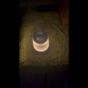 (1 YEAR WARRANTY BUG) Humidifier USB charging portable 3L large capacity indoor spray humidifier with night light regulation air 加湿器 喷雾器