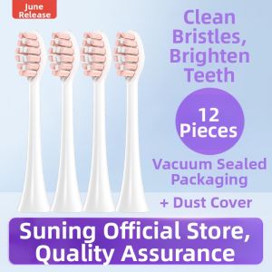 Early June Compatible FLYCO Electric Toothbrush Head FT7109 Special TH01 Replacement Toothbrush Head Deep Cleaning Adult Normal Specification