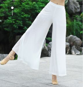 Chinese Style Classical Dancing Dress Performance Costume Female Elegant Exercise Clothing Art Exam Modern Ethnic Clothing Mesh Loose Pants