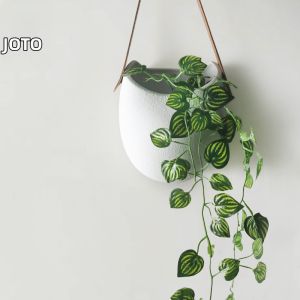 JOTO | Wall Hanging Planter Air Plant Compatible