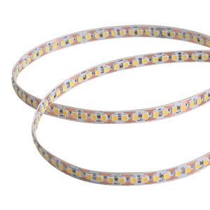 ZAGE | Full Spectrum High Brightness Flicker Free Self Adhesive LED Light Strip 24V