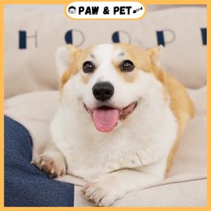 Hoopet Large Size Dog Bed Cozy and Warm Cat Bed Deep Sleep All Season Sleeping Pet Bed Kucing dan Anjing 大型狗猫窝保暖床